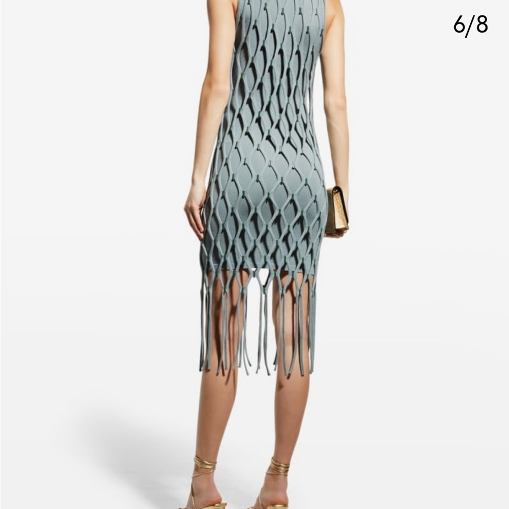 SIMKHAI Mariel Compact Mesh Fringe Mini dress - Picture 5 of 12